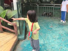 -百万葵园