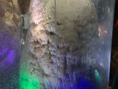 -兰溪地下长河