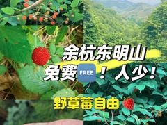 -东明山森林公园