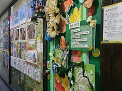 -杨梅红艺术教育(凤城教学中心)