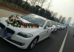 点击看大图 -蚂蚁婚车