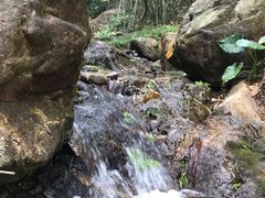 -羚羊峡古栈道森林公园