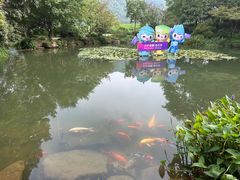 -中国茶叶博物馆(双峰馆区)