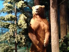 -陕西自然博物馆