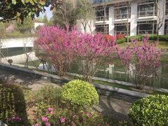 -逸林轩中餐厅(中信泰富朱家角锦江酒店)