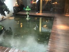 -觀芷隐轩