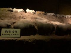 -汉景帝阳陵博物院