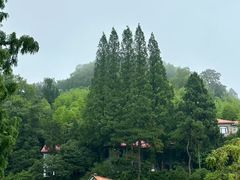 -莫干山风景区