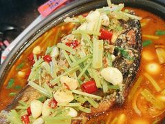 -宝记烧烤·碳锅羊肉·羊蝎子火锅·夜食社(文体路创始店)