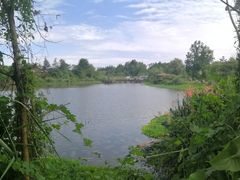 -桤木河湿地公园