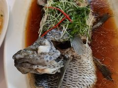 -骏莱海鲜鱼港(五角场店)
