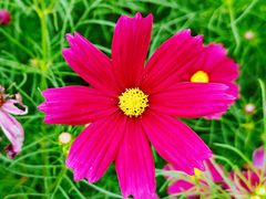 -花开海上生态园