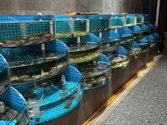 -蓝珊甄选海鲜自助·火锅大排档(近阿那亚店)