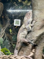 -Zoolung Zoolung动物主题公园(海信广场店)