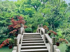 -上海醉白池公园