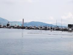-深圳湾公园(南山区)