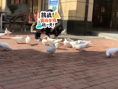 -王府井奥莱临潼小镇(临潼店)