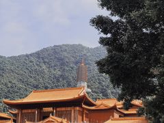 -深圳仙湖植物园
