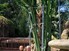 -厦门园林植物园-植物园滴水山房