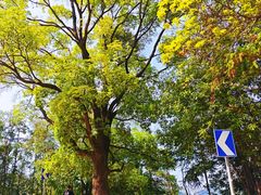 -象头山国家级自然保护区