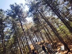 -京东石林峡风景区