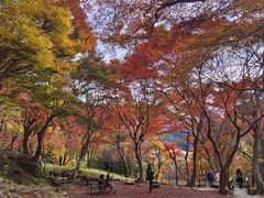 -比叡山