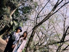 -武汉大学-樱园