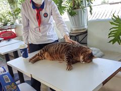 -小时光咖啡馆(北锣鼓巷店)