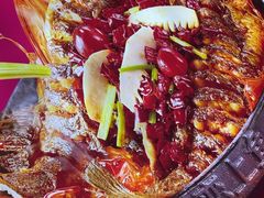 -老板恋上鱼(恒隆广场店)