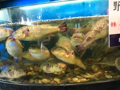 -莆鑫海鲜城(浏河店)