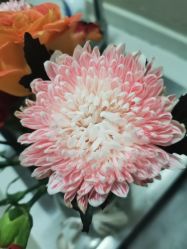 -Oasis Beauty水磨坊科技美肤中心