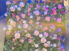 -咕嘟草帽鱼·牛奶一样的鲜鱼汤(包河万达广场创始店)