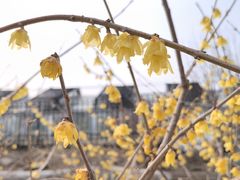 -国家植物园南园