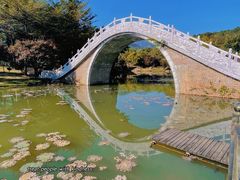 -田野绿世界