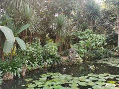 -中国科学院西双版纳热带植物园