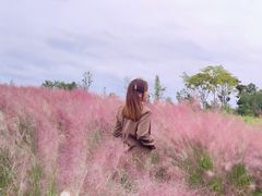 -桤木河湿地公园