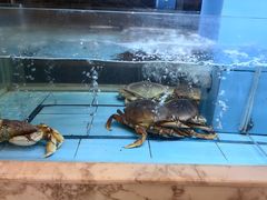 -莆鑫海鲜城(浏河店)