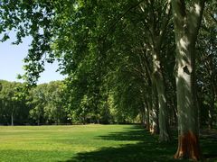 -河南省黄河迎宾馆