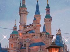 -上海迪士尼度假区