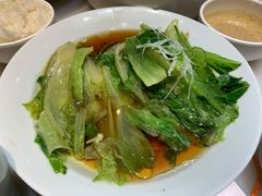 白灼罗马生菜-鸭匠食府·挂炉烤鸭·新京菜(阜成路店)