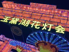 -淄博花灯齐彩城