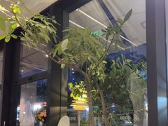 -gaga(深圳南山益田假日广场店)