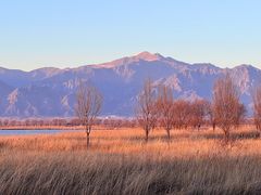 -野鸭湖国家湿地公园