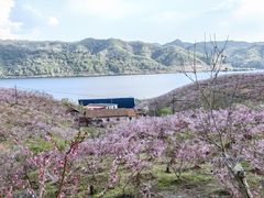 -河口景区