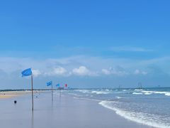 -日照海滨国家森林公园