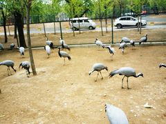 -秦皇岛野生动物园