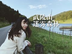 -武陵山森林公园