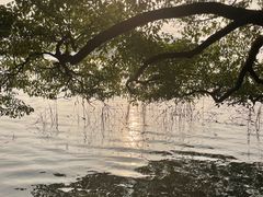-东湖落雁景区
