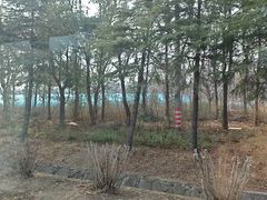 -句容茅山景区