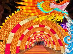 -欢乐海岸椰林沙滩-2025湾区超级灯会